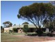 Lot 50 Murbko Road, Waikerie SA 5330