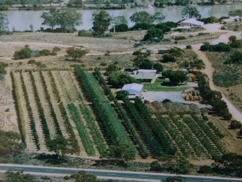 Lot 50 Murbko Road, Waikerie SA 5330