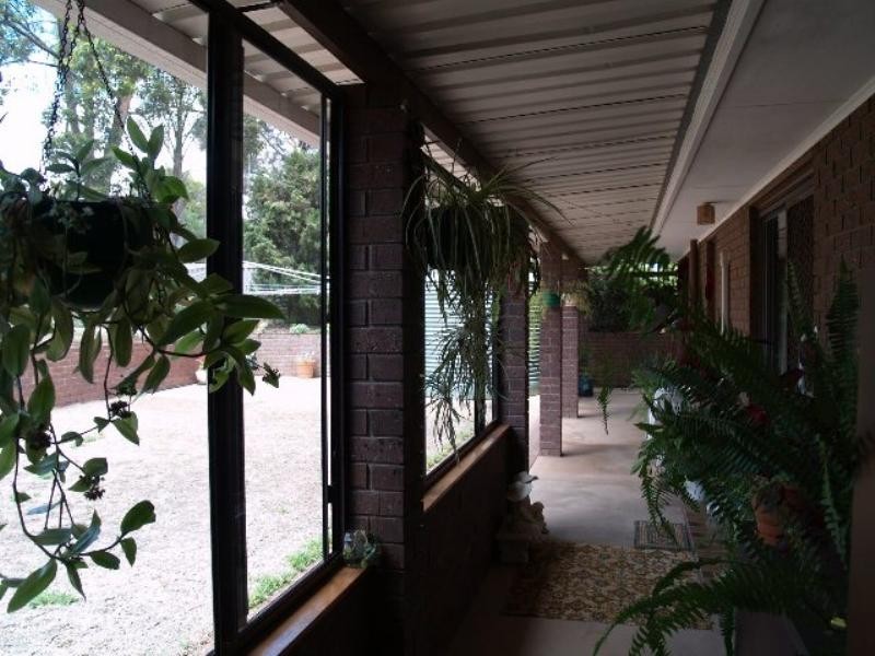 3 Harden Street, Waikerie SA 5330