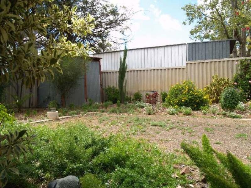 3 Harden Street, Waikerie SA 5330