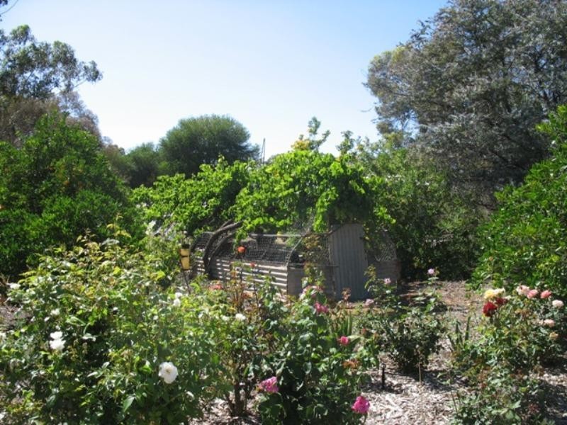 Lot 5,409 Sturt Highway, Berri SA 5343