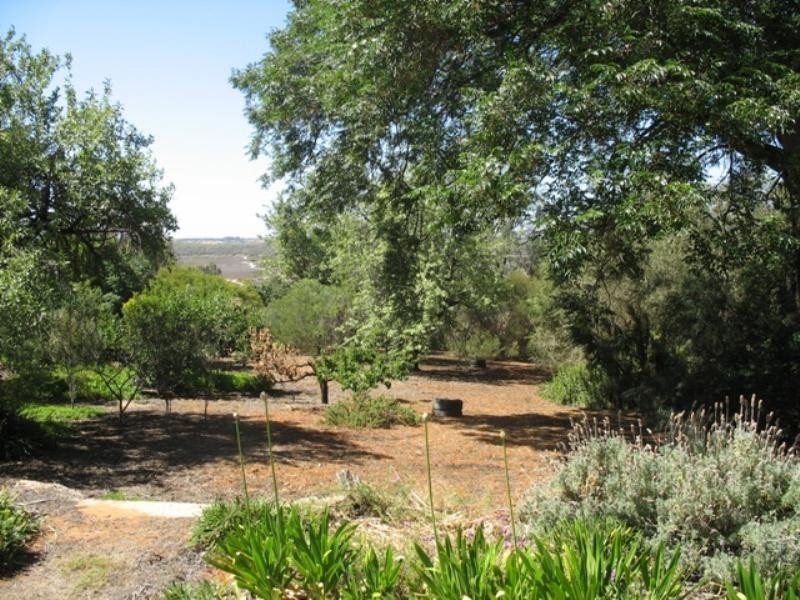 Lot 5,409 Sturt Highway, Berri SA 5343
