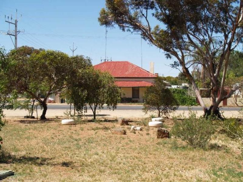 20 Seventh Street, Morgan SA 5320