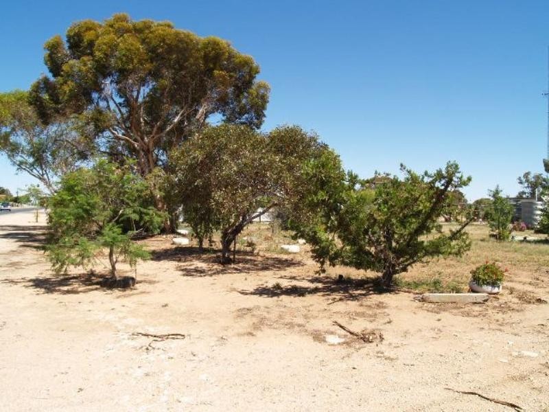 20 Seventh Street, Morgan SA 5320