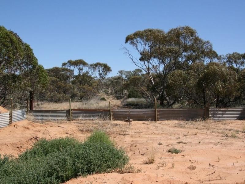 5152 High Street, Paruna SA 5311