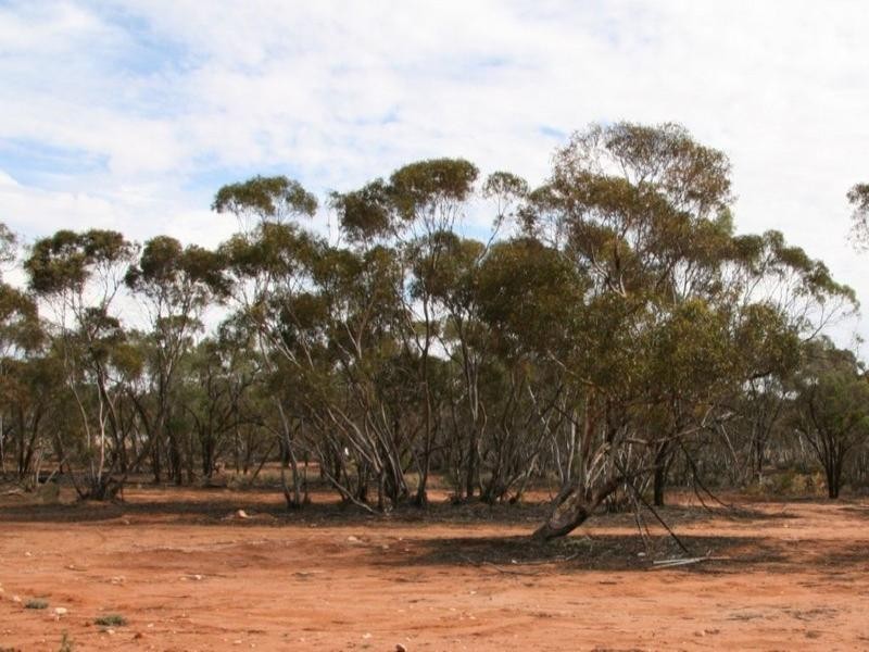 Sec 168 Searle Road, Waikerie SA 5330