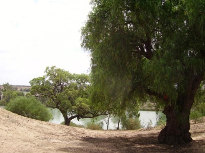 70 Helbig Drive, Murbko SA 5320