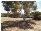 Sec 254 Checker Road, Waikerie SA 5330