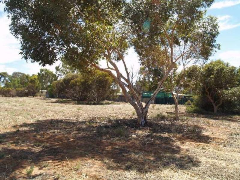 Sec 254 Checker Road, Waikerie SA 5330