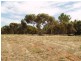Sec 254 Checker Road, Waikerie SA 5330