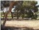 Sec 254 Checker Road, Waikerie SA 5330