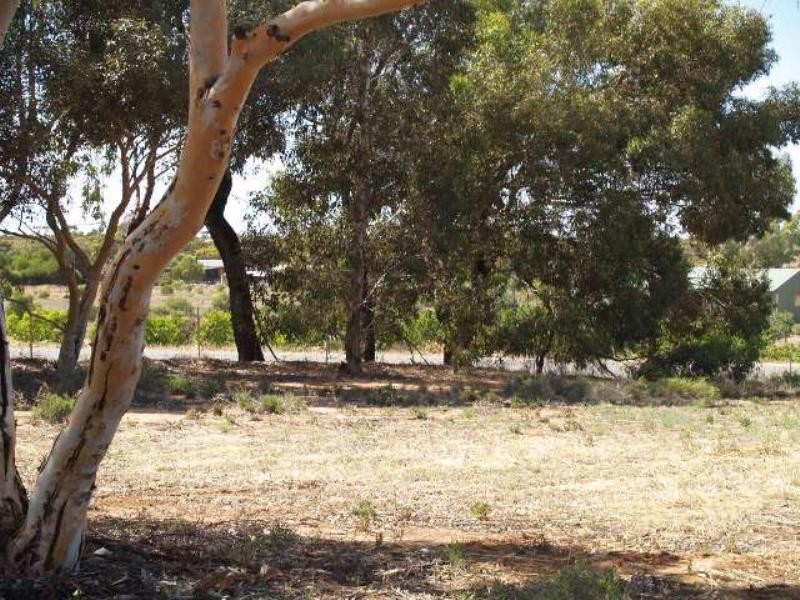 Sec 254 Checker Road, Waikerie SA 5330