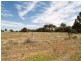 Sec 254 Checker Road, Waikerie SA 5330