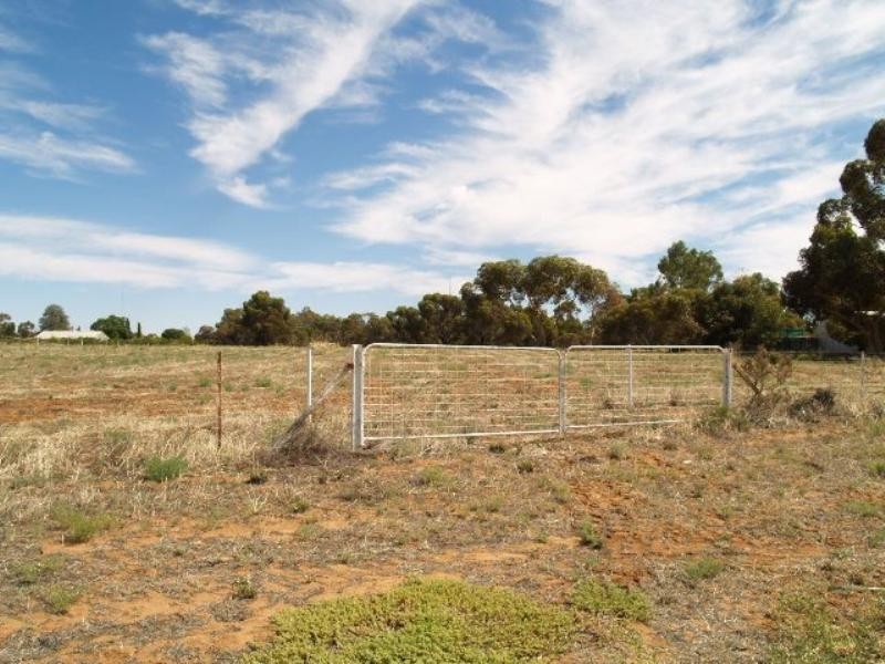 Sec 254 Checker Road, Waikerie SA 5330