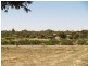 Sec 254 Checker Road, Waikerie SA 5330