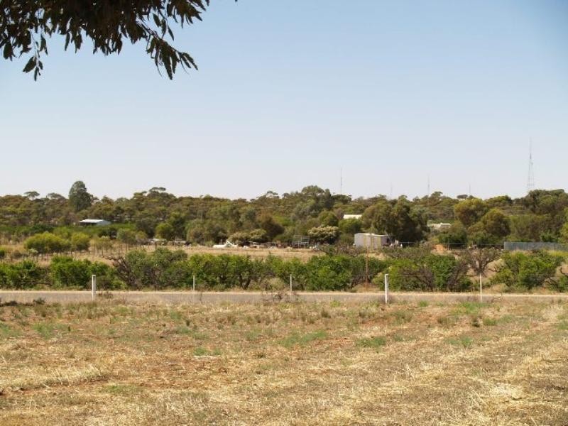 Sec 254 Checker Road, Waikerie SA 5330