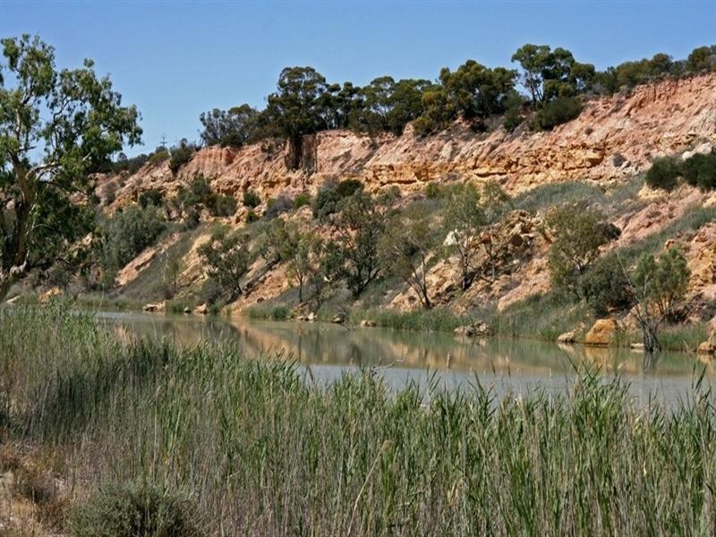 Lt 100 Devlin Pound Road, Waikerie SA 5330