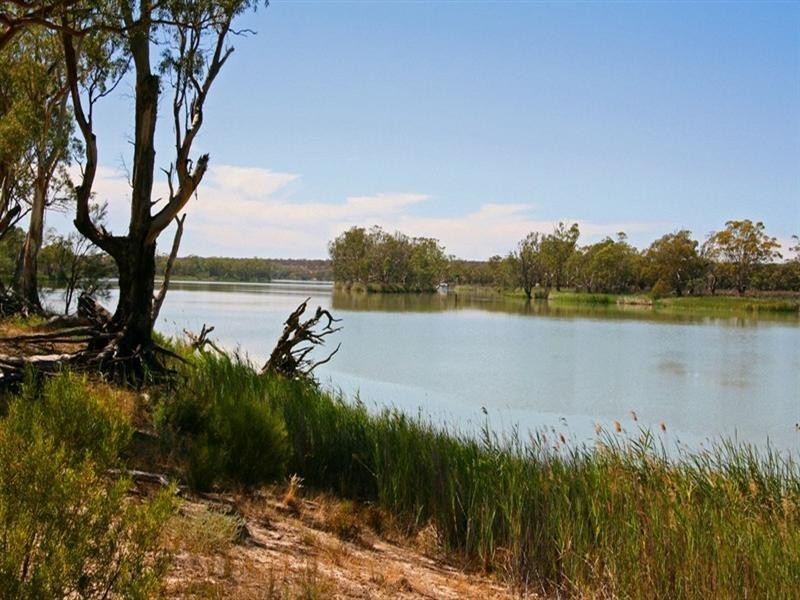 Lt 100 Devlin Pound Road, Waikerie SA 5330