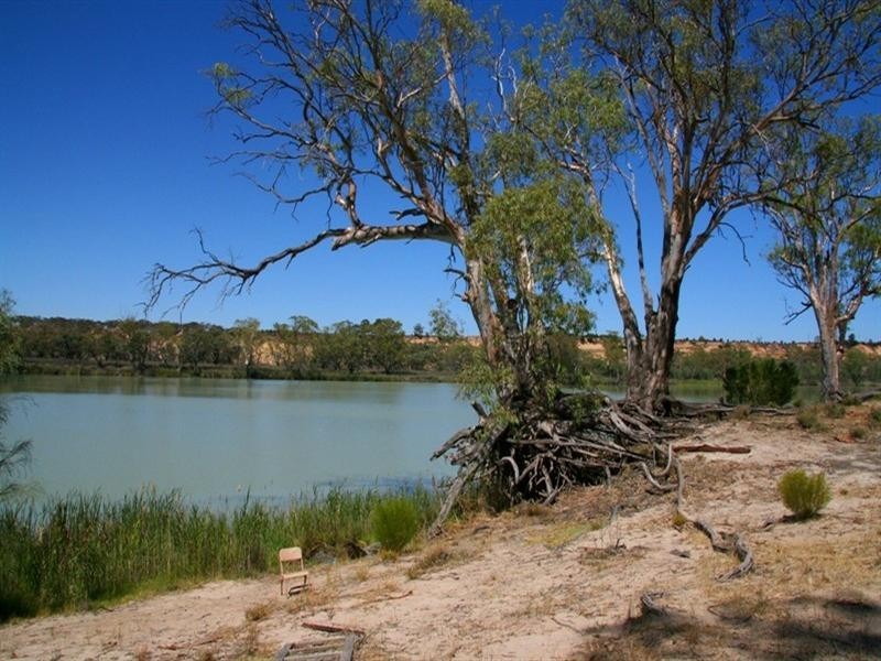 Lt 100 Devlin Pound Road, Waikerie SA 5330