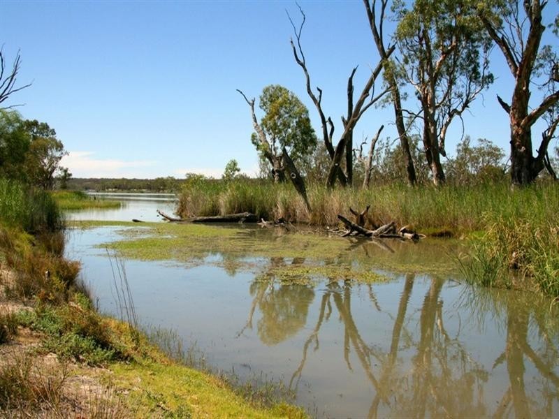 Lt 100 Devlin Pound Road, Waikerie SA 5330