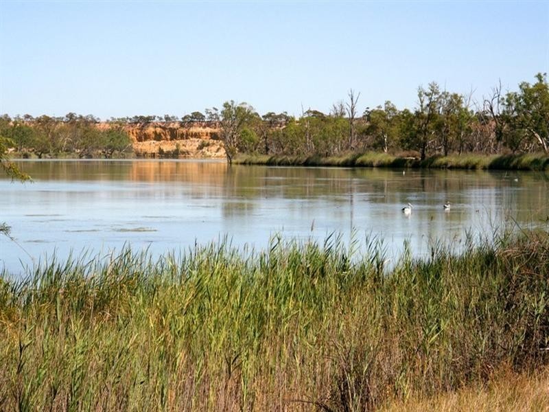 Lt 100 Devlin Pound Road, Waikerie SA 5330