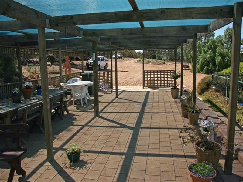 Lt 100 Devlin Pound Road, Waikerie SA 5330
