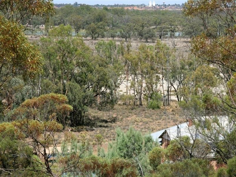 Lt 100 Devlin Pound Road, Waikerie SA 5330