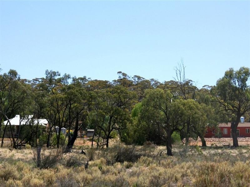 Lt 100 Devlin Pound Road, Waikerie SA 5330