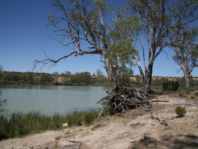 Lt 100 Devlin Pound Road, Waikerie SA 5330