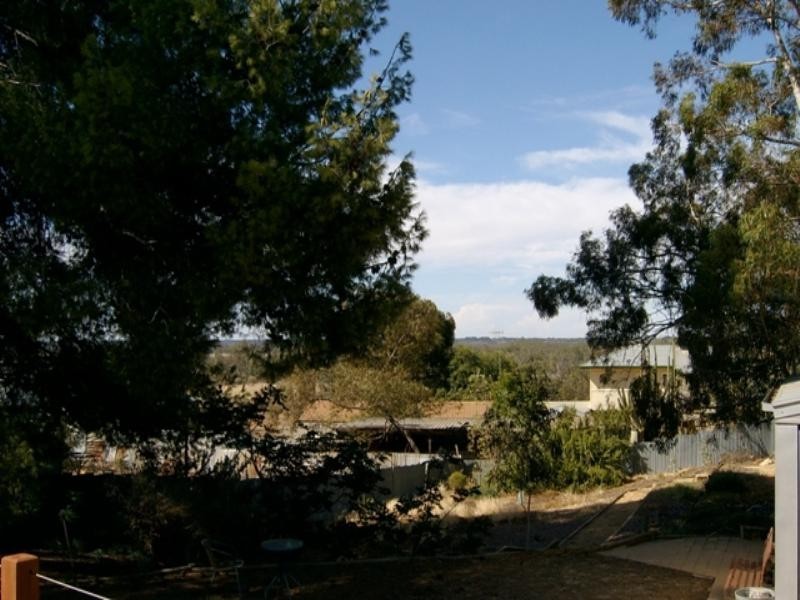 3 Westbrook Avenue, Loxton SA 5333