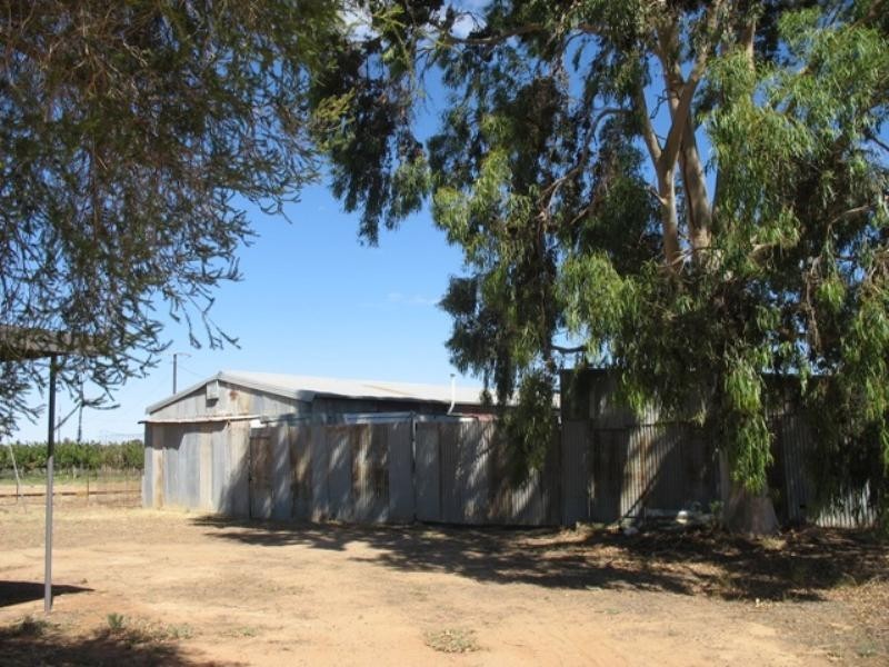 Sec 14 Mudge Street, Cobdogla SA 5346