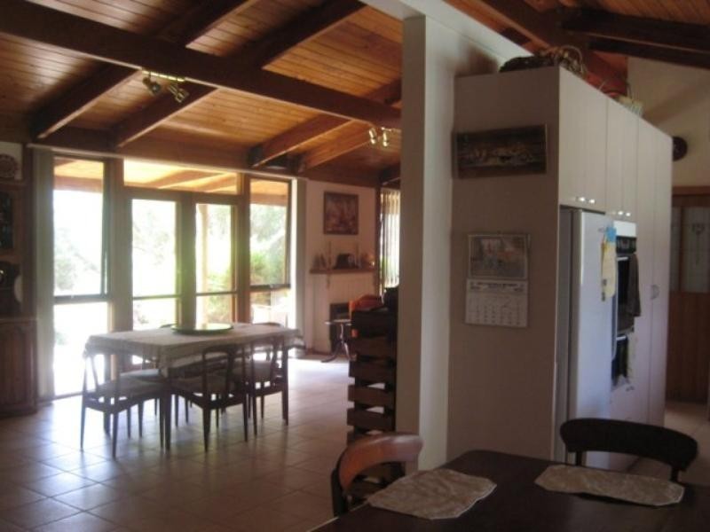 Sec 169 Yeo Road, Barmera SA 5345