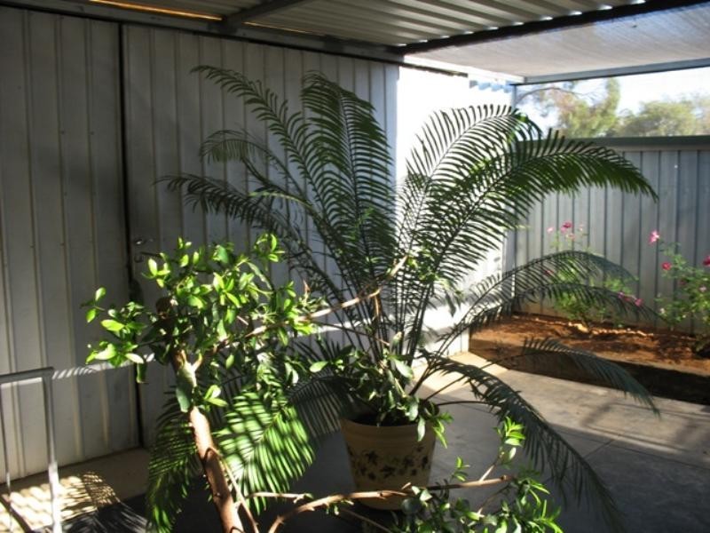 30 Sixth Street, Loxton SA 5333