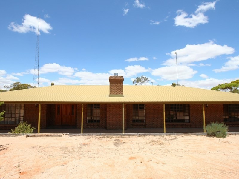 161 Thiele Road, Barmera SA 5345