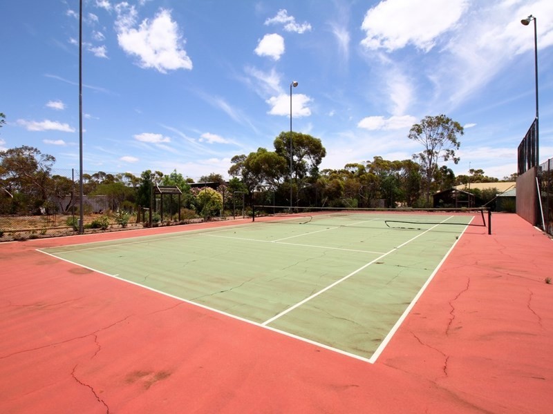 161 Thiele Road, Barmera SA 5345