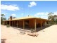 161 Thiele Road, Barmera SA 5345