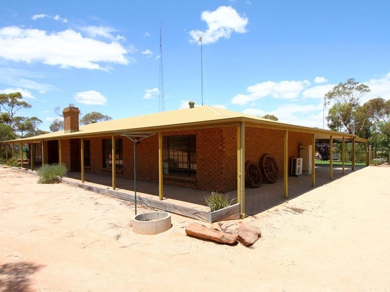 161 Thiele Road, Barmera SA 5345