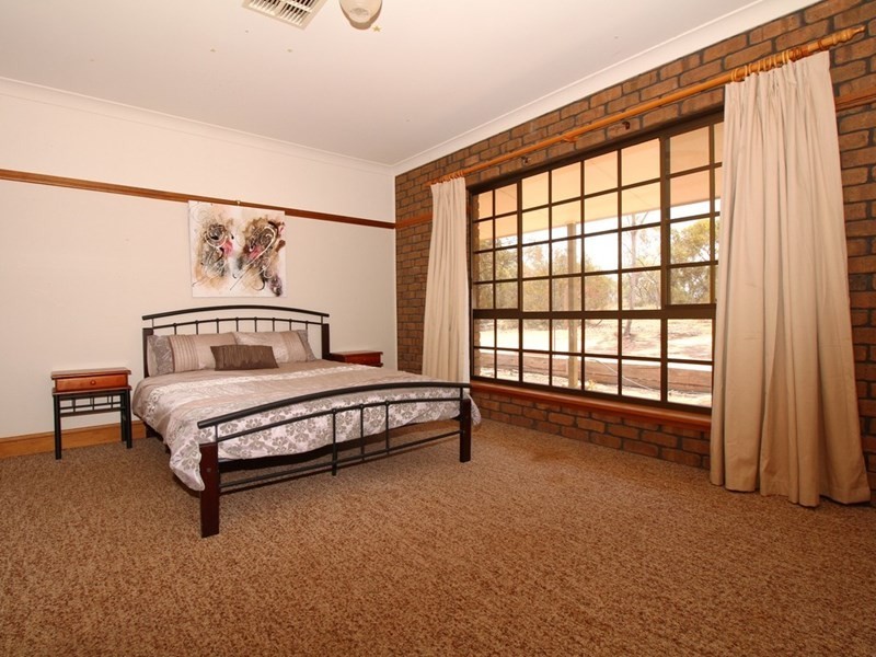 161 Thiele Road, Barmera SA 5345