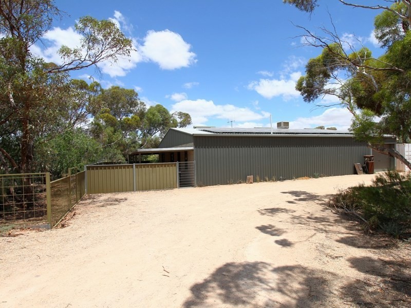 161 Thiele Road, Barmera SA 5345