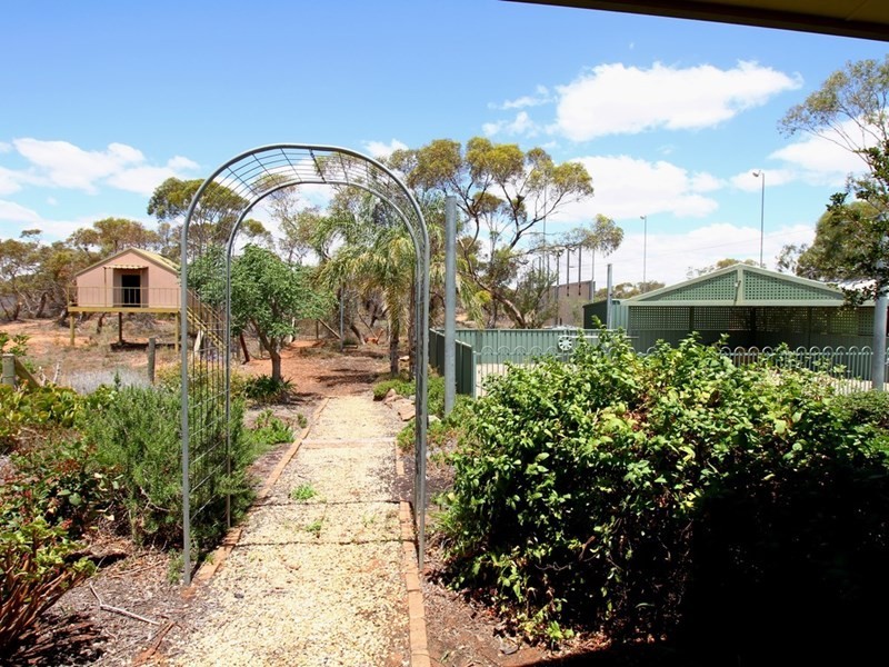 161 Thiele Road, Barmera SA 5345