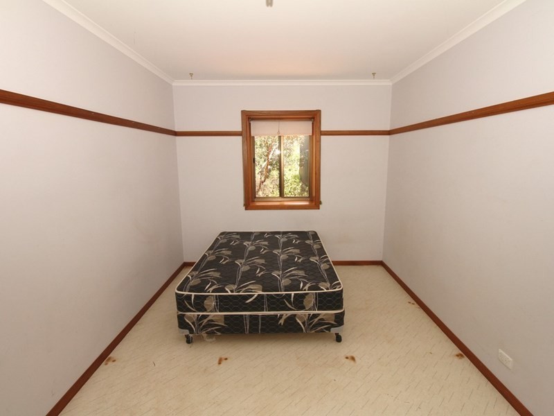 161 Thiele Road, Barmera SA 5345