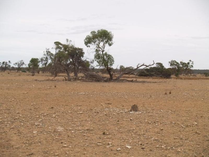 Sec 115 Portee Station, Blanchetown SA 5357