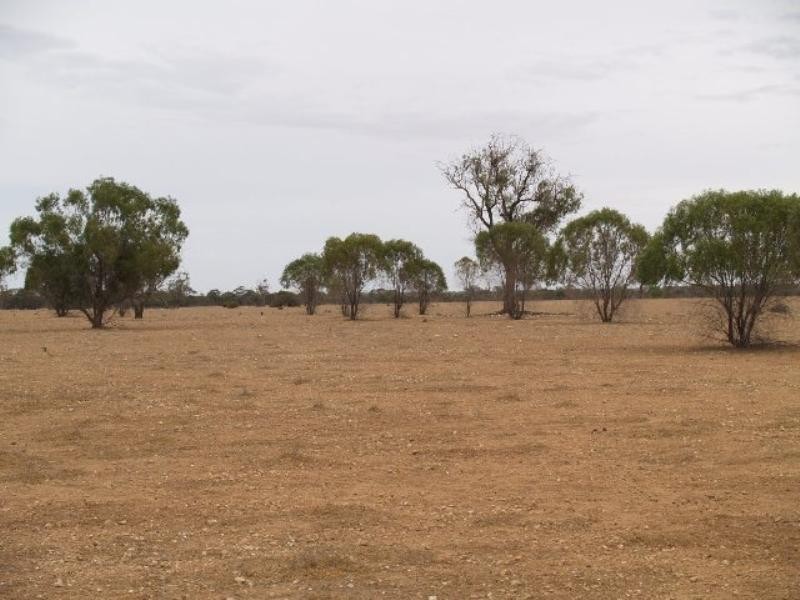 Sec 115 Portee Station, Blanchetown SA 5357