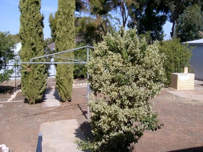 65 Second Street, Loxton SA 5333
