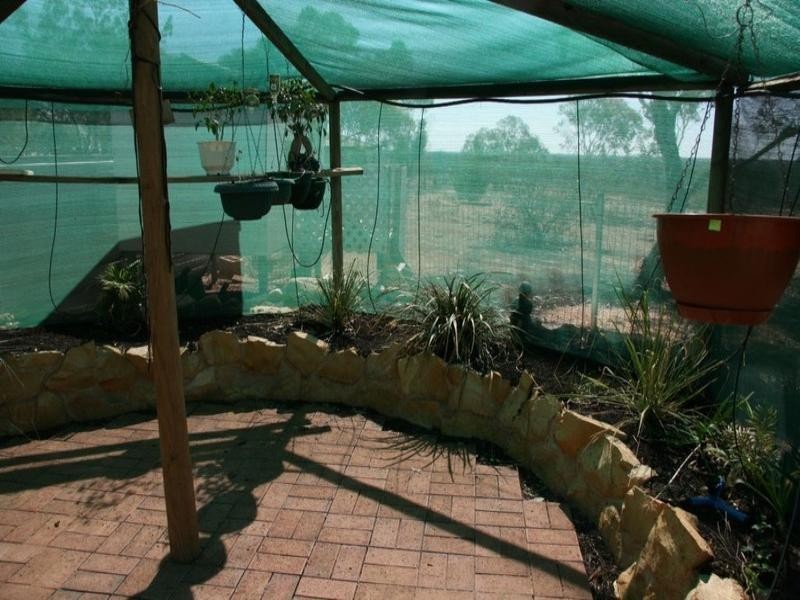 25 Tanko Street, Loxton SA 5333