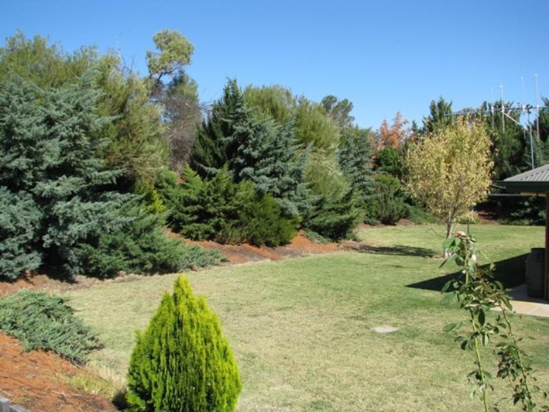 Sec 904 Richter Road, Berri SA 5343