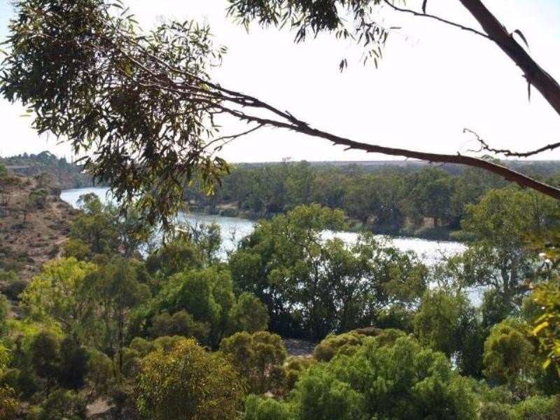 2 Railway Terrace, Morgan SA 5320