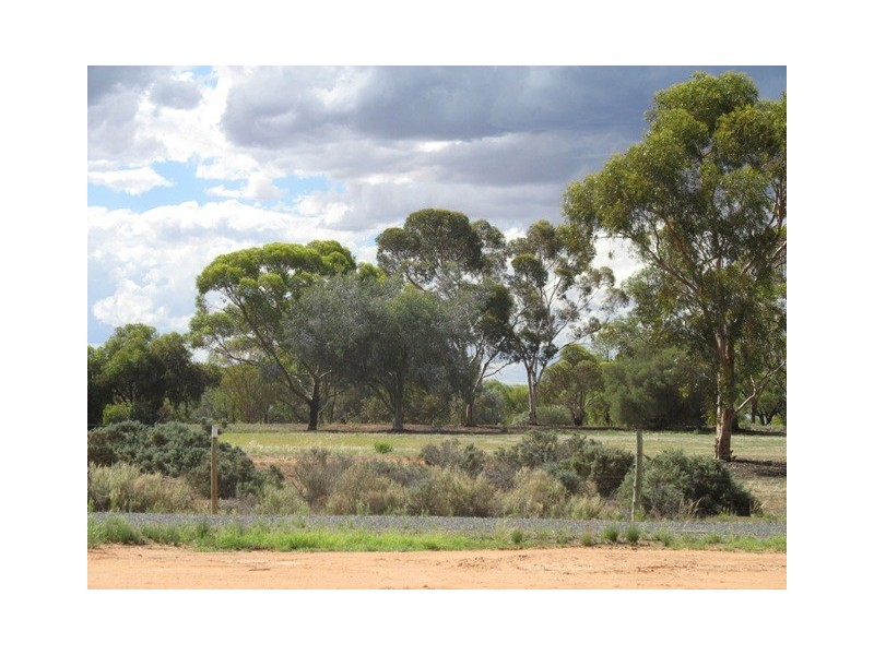 15 Maple Street, Barmera SA 5345