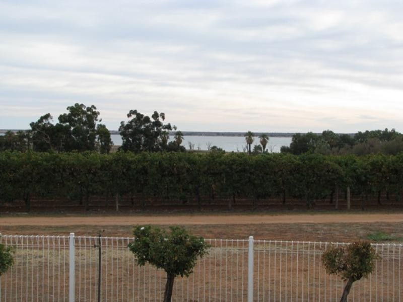 Sec 435 McKenzie Road, Barmera SA 5345