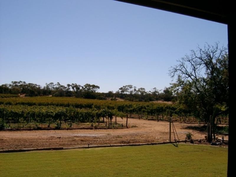 Lot100/728 Moss Road, Monash SA 5342